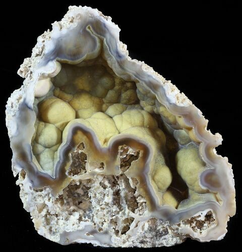 Agatized Fossil Coral Geode - Florida #51638